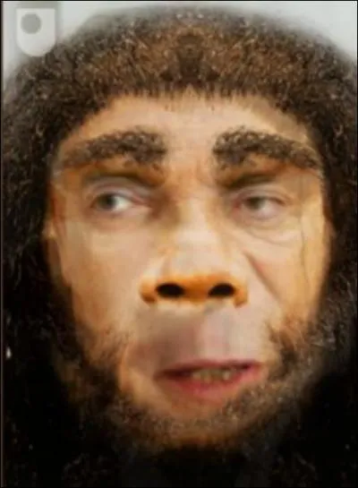 N'a pas beaucoup chang :