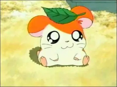 Quel est le prnom du chef de la troupe d'Hamtaro ?