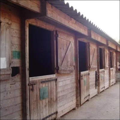 Quel genre d'animaux loge-t-on dans un box ?