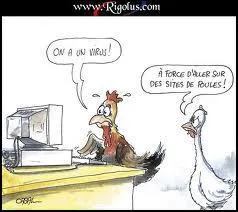 Quel virus infecte les volatiles, poules et poulets ?