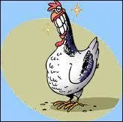 Comment allez-vous conclure ce quizz ?