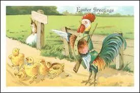 Qu'est-ce qu'un Poulet chasseur ?