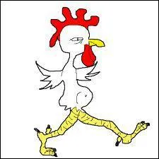 Qu'est-ce qu'un coquelet ?