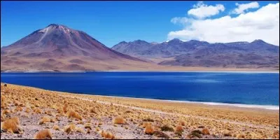 Je suis une région de la Cordillère des Andes, une haute plaine suspendue à plus de 3 300 m d'altitude. Où le lac Titicaca s'y étire et je me situe essentiellement en Bolivie. Quel est mon nom ?