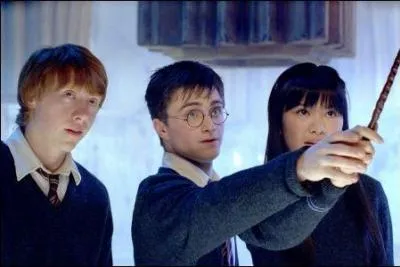 Aprs que Harry ait embrass Cho, Ron lui demande comment c'tait. Que lui rpond Harry ?