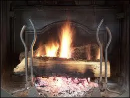 Qui chantait 'Fais du feu dans la chemine, je reviens chez nous, s'il fait du soleil  Paris, il en fait partout... ' ?
