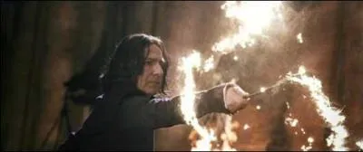 Comment s'appelle le sort qui dsarme l'adversaire ?