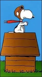 Quelle est la race de Snoopy ?