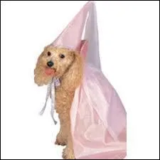 Quelle est la couleur de sa robe ?