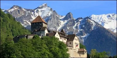 Le Liechtenstein est une province d'Autriche.