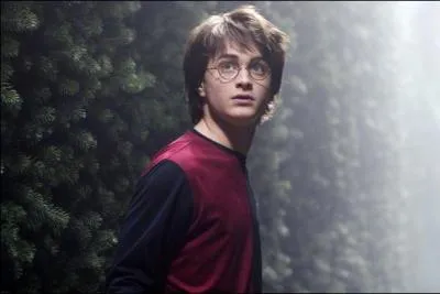 Quelle est la premire chose que Harry doit affronter dans le labyrinthe lors de la dernire tche ?