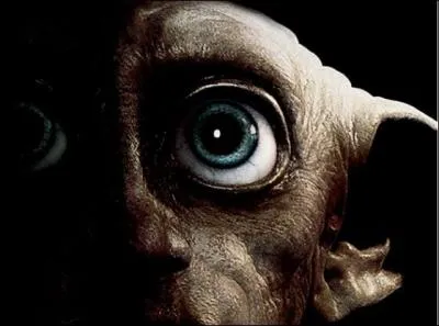 De quelle couleur est la paire de chaussettes qu'offre Ron  Dobby pour Nol ?