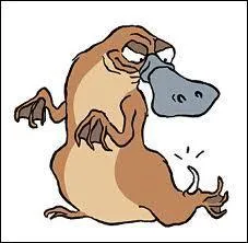 C'est un mammifre qui pond des oeufs, mais comment s'crit-il ?