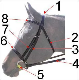 Comment s'appellent les parties n1, 2, 3, 4, 5, 6, 7, 8 ?