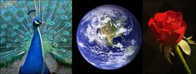 Reconnais-tu ce hros ?