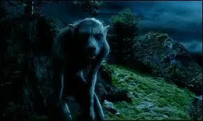 Quel personnage se cache sous ce loup garou ?