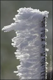 Elle a quand mme l'air un peu...