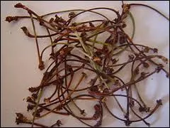 En plus, elle ne se prend pas pour trois...