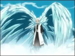 Capitaine de la dixime division :