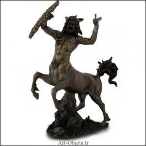 Que reprsente cette image ?