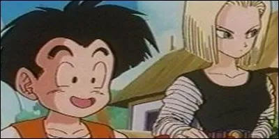 Dans "Dragon Ball Z", quel cyborg Krillin épouse-t-il ?