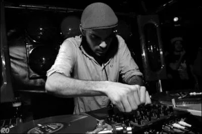 Quel est le titre du second album des Birdy Nam Nam ?