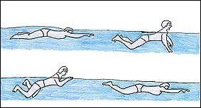 La BRAsse est la nage des dbutants. Elle se pratique sur le ventre avec des mouvements symtriques des bras et des jambes. Quelle sorte de brasse n'existe pas ?