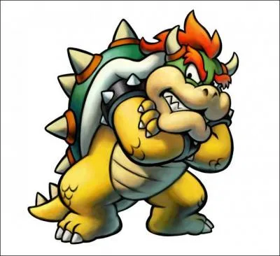 Qui est l'ennemi de Bowser ?