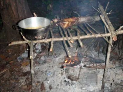 Trs utile, en fort, pour faire cuire le poisson, ce ...