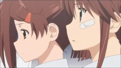 Quel est le titre de ce manga ?