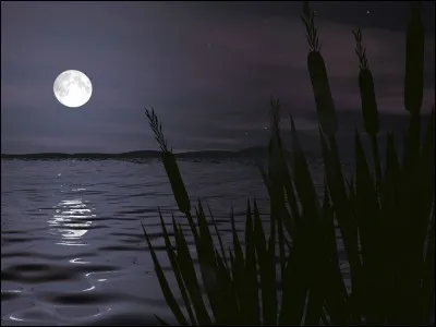 C'était dans la nuit brune, sur le clocher jauni, la lune comme un point sur un i :