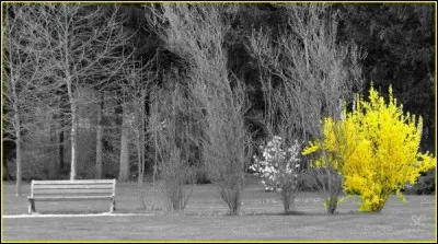 Demain dès l'aube à l'heure où blanchit la campagne, je partirai, vois-tu, je sais que tu m'attends :