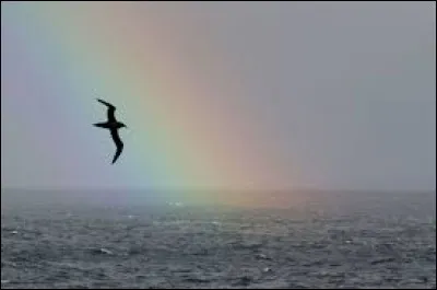 Le poète est semblable au prince des nuées qui hante la tempête et se rit de l'archer, exilées sur le sol au mileu des huées, ses ailes de géant l'empêchent de marcher :