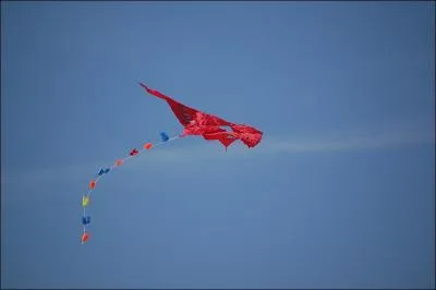 Regarde, c'est un…