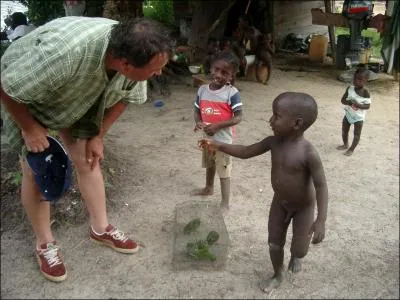 Et ces oiseaux d'Amrique du sud sont ...