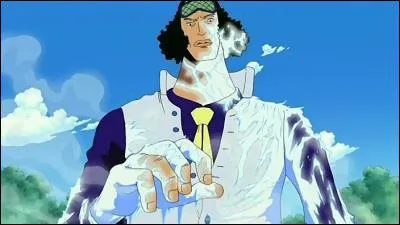 Que signifie Aokiji en japonais ?