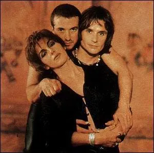 'Une Femme Avec Une Femme' est chant par le groupe :