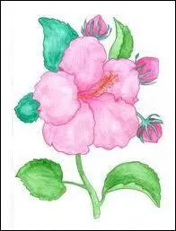 Quelle expression correspond  'la crme des crmes' ?