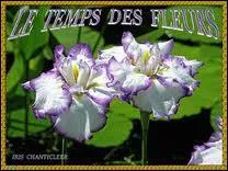 Qui a chant 'C'tait le temps des fleurs' ?