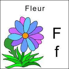 Que pensera l'auteur si vous mettez 10  son quizz alors qu'il ne le mrite pas ?