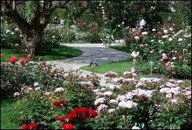 Quelles sont les fleurs que l'on peut admirer dans le Parc paysager de Fontvieille  Monaco ?