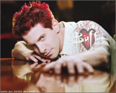 Quelle chanson le groupe fictif dans Buffy ''The dingos eat my baby'' ont-il repris et quel est le groupe original qui chante cette chanson ?