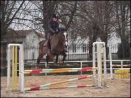 Quel genre d'obstacle saute ce cheval ?