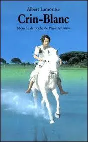 Dans quelle rgion se situe l'histoire de Crin Blanc ?