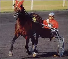 Le clbre trotteur Bellino II a fait les beaux jours de quel hippodrome parisien ?