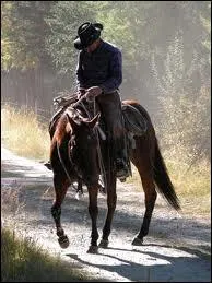 Qui  ralis en 1998 le film ' L'homme qui murmurait  l'oreille des chevaux ' ?