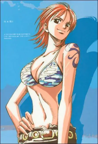 Pour chapper aux pirates Nami prtend que Luffy est ...