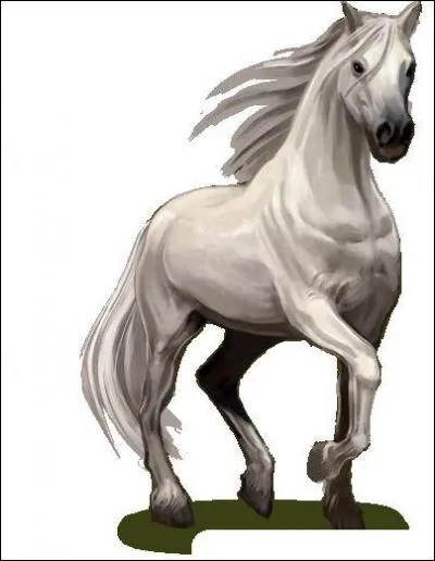 Combien y a-t-il  peu prs de joueurs sur Equideow ?