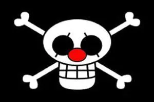 Qu'a vol nami au capitaine Baggy ?