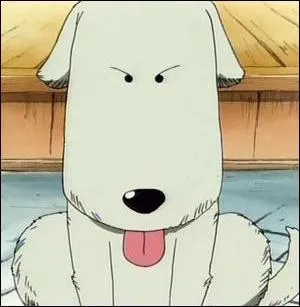 Pourquoi le chien chouchou continue-t-il  protger la boutique de son dfunt matre ?